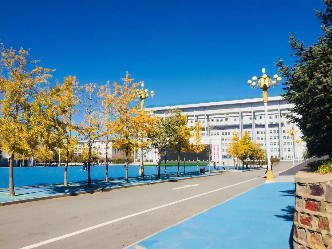 辽宁，历史脉络与现代发展的交融之地