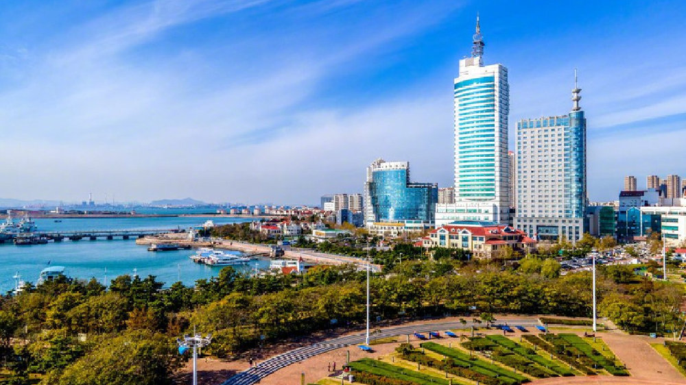 山东印象，绿色画卷中的齐鲁风情🌸🌲