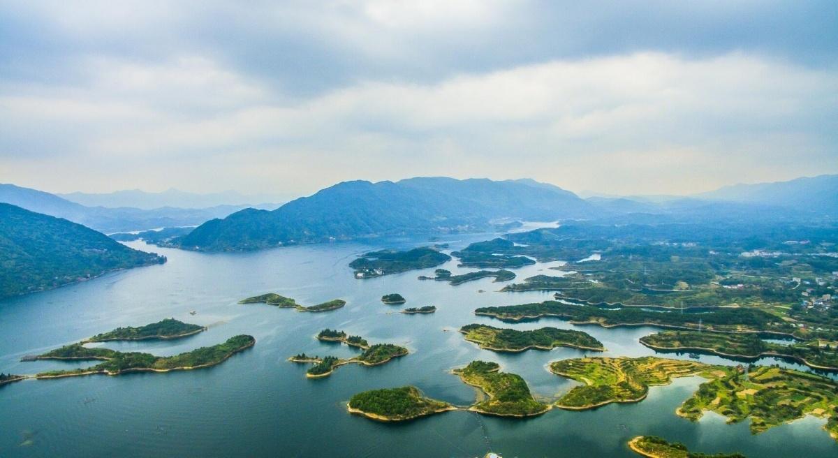 湖北致敬，领导与同胞的深情寄语